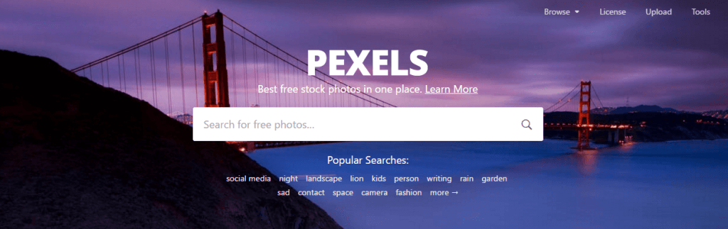 Pexels darmowe zdjęcia do grafik
